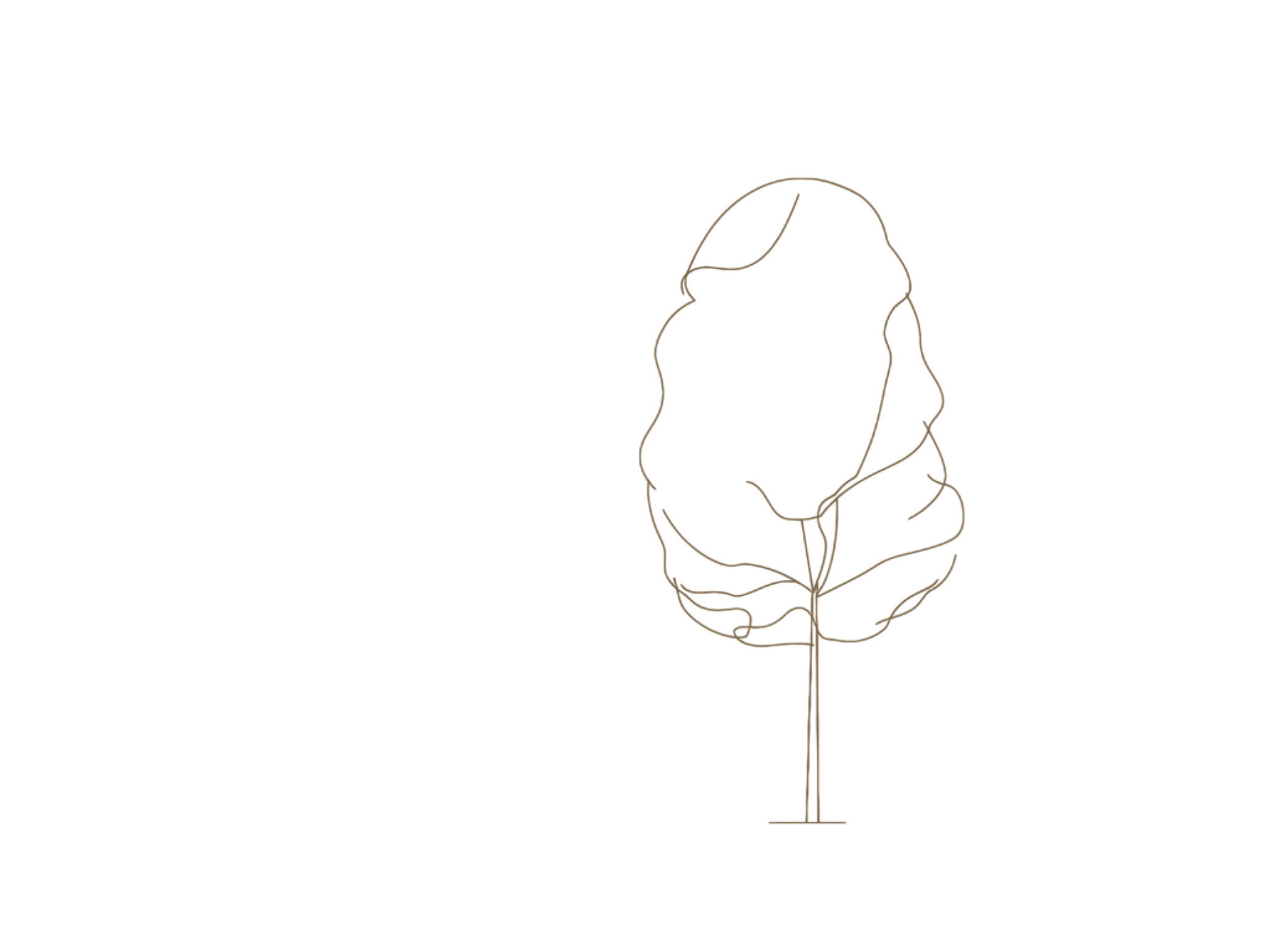 10歳までの矯正治療